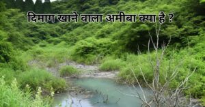 दिमाग खाने वाला अमीबा क्या है ?